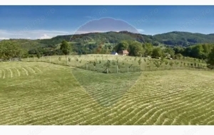 Teren  20.170mp   | Livada | Suncuius, Bihor - imagine 9