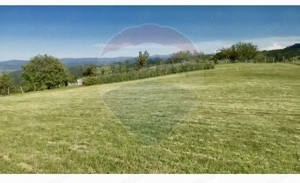 Teren  20.170mp   | Livada | Suncuius, Bihor - imagine 7