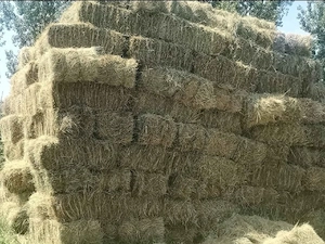 Baloți de fân și trifoi 