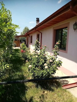 Casa de vanzare