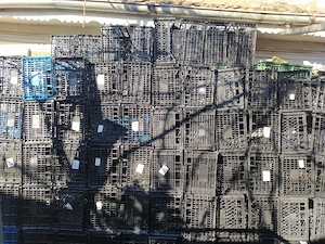 Vând lădițe de plastic 