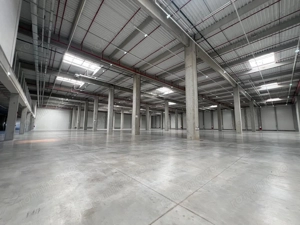 Spatii depozitare 3500 - 35.000 mp - Stefanestii de Jos , Soseaua de centrua - imagine 3