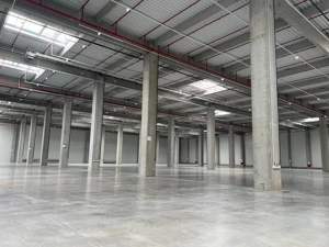 Spatii depozitare 3500 - 35.000 mp - Stefanestii de Jos , Soseaua de centrua - imagine 4