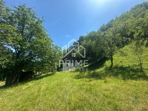 Casa de vacanta 98 mp| 12.141 mp teren| zona Valea Vintului  - imagine 7