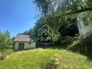 Casa de vacanta 98 mp| 12.141 mp teren| zona Valea Vintului  - imagine 3