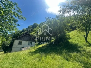Casa de vacanta 98 mp| 12.141 mp teren| zona Valea Vintului  - imagine 6