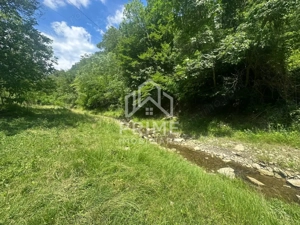 Casa de vacanta 98 mp| 12.141 mp teren| zona Valea Vintului  - imagine 4