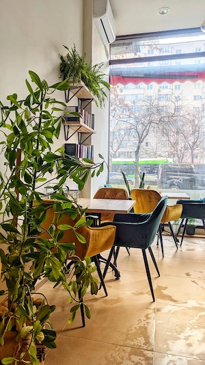 Angajam BARISTA (full-time) - Cafenea de specialitate
