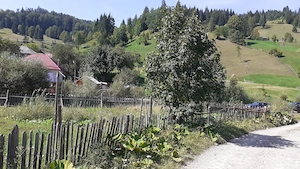  Poiana Teiului , sat dreptul , Jud. Neamț. Vanzare teren intravilan 716 mp