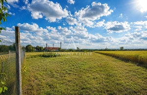 Antony Estate I Vanzare, Country House, Tileagd, Bihor - imagine 9