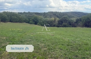 Antony Estate I Teren de vanzare, Uileacu de Cris, Bihor - imagine 4