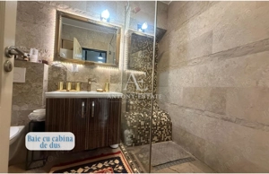 Proprietate cu crama, Ultracentral, casa de vanzare, Oradea, Bihor - imagine 7