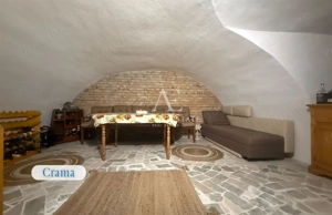 Proprietate cu crama, Ultracentral, casa de vanzare, Oradea, Bihor - imagine 13