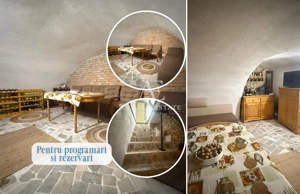 Proprietate cu crama, Ultracentral, casa de vanzare, Oradea, Bihor - imagine 19