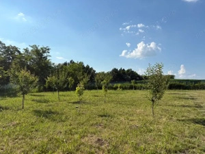 Teren intravilan, 695mp, 28m deschidere,drept, Valea Lupului! - imagine 2