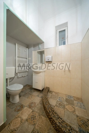 Apartament cu 4 camere la casa, zona Balcescu-ideal birouri - imagine 10