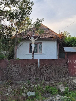 Casa de vanzare 