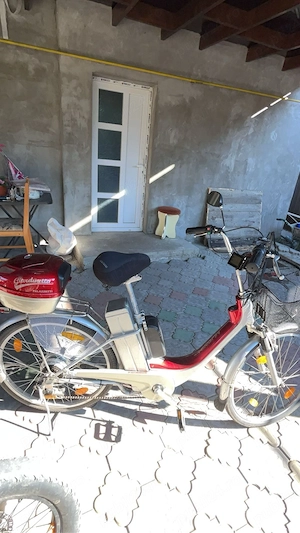 Bicicleta electrica Palazzetti