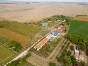Teren 13.418 mp intravilan cu casă și 2 iazuri - imagine 3