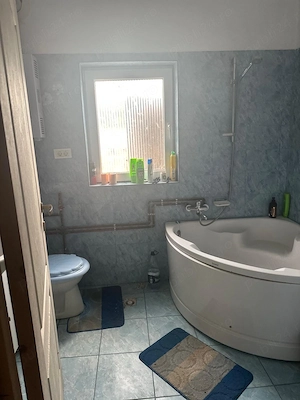 Casă solidă + 4500 mp Teren INTRAVILAN, 45m Front stradal - imagine 9