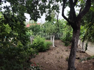 Casa veche zona Bogdanestilor cu teren 1033mp - imagine 3