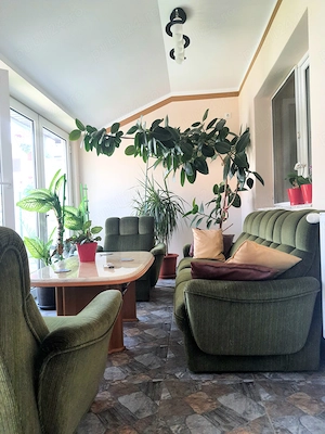 NOA HOME | Casă individuală complet renovată | Mobilată și utilată | Zonă centrală | Sânnicolau Mare - imagine 6