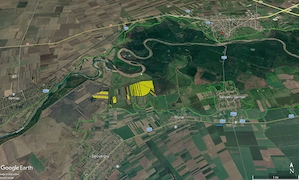 116 ha teren arabil la Secusigiu, 30 km distanta de  municipiul Arad - imagine 2