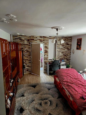 Casa 518mp utili  Carei Strada Brancoveanu - imagine 8