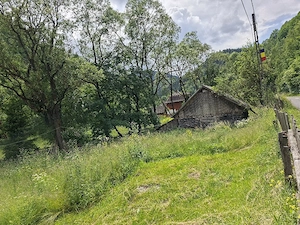 Teren de Vanzare