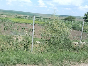 Teren intravilan-loc de casa ,15km de Botoșani în Unteni - imagine 4