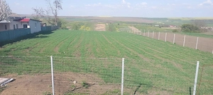 Teren intravilan-loc de casa ,15km de Botoșani în Unteni - imagine 2