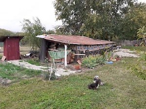 Casa comuna Schitu jud Giurgiu - imagine 2