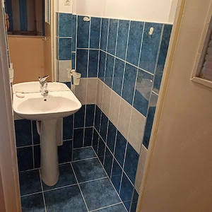 Ap 3 camere etaj 1 cu garaj  - imagine 8