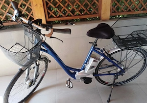 Bicicletă electrică Flyer