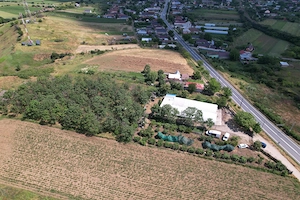 Afacere la cheie - Ciupercarie Champignon 8000m2 + livada  - imagine 2