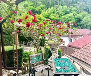 Apartament 2 camere la casa cu curte proprie Schei