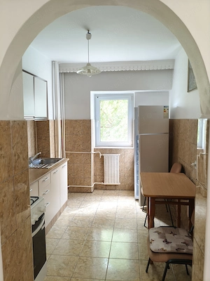 Persoana fizica, Apartament cu 1camera, 42mp, Podu Ros - imagine 3