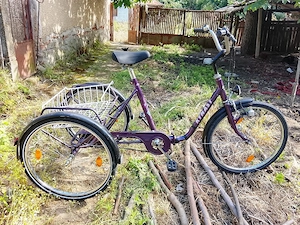 Triciclete în Biciclete 
