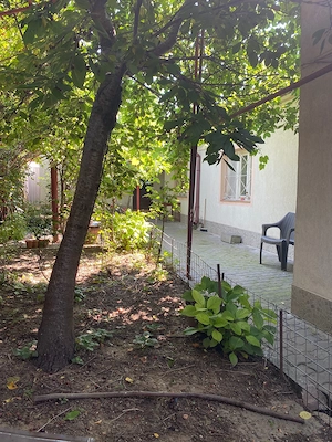 Casa cu teren Zona Colentina -str. Pasarani- Cartier Ion Creanga - imagine 8