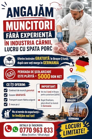 Angajam muncitori necalificati industria carnii Germania   cu instruire platita in Brasov