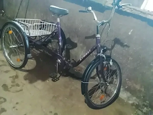 Triciclete În Biciclete 