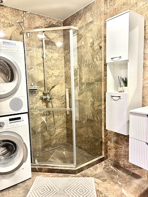 Apartament cu 2 camere de inchiriat in zona 1 Decembrie  - imagine 4
