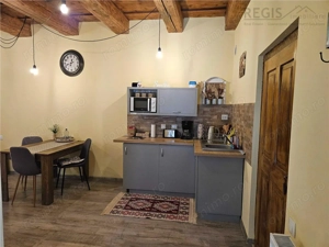 Studio Ultracentral Brasov - Michael Weiss - imagine 4