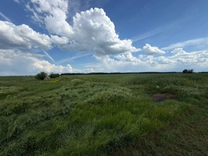  15-50 ha, parcelat, Mihailesti Giurgiu - imagine 4