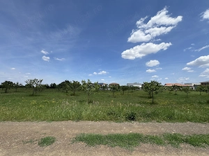 Teren intravilan Dumbrăvița