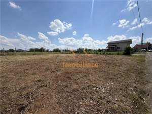 TEREN INTRAVILAN 800 MP | ZONA PALEU | BIHOR