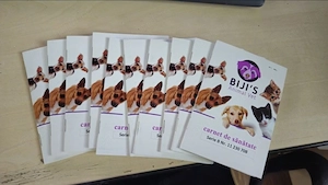 Saint Bernand cu varsta de 3 luni ! - imagine 2