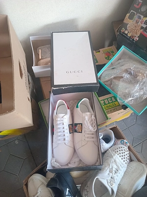 adidas Gucci