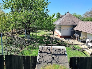 Casa ,teren intravilan- Răucești Neamț  - imagine 5