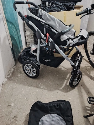 Carut Coral 2 in 1